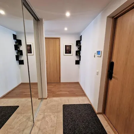 Spacious Near Downtown Tallinn