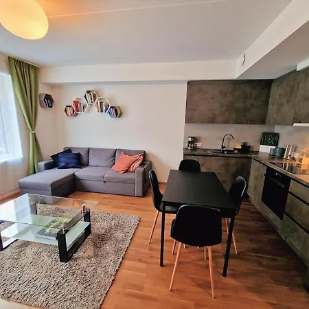 Apartment Spacious Near Downtown